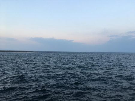 ジグサビキでアジ